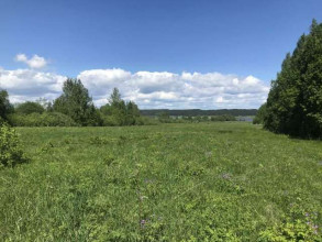 ������� ���������� �������, �������� �., �������� ����