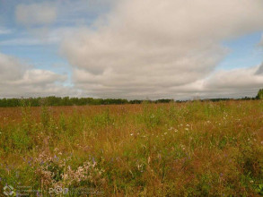 ������� ���������� �������, � �������, ������� ��, ��������� �������