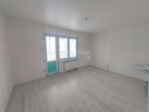 ������� -��������� ��������, �����������, 16� ���, 53, �����-���������� ��