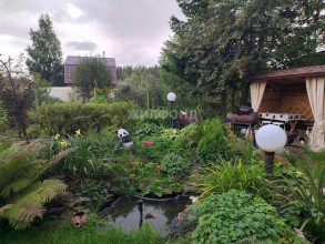 ������� ����, �����, ���������� ������� ��, ������� �������