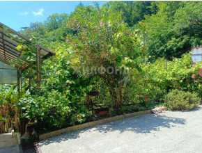 ������� ����, �.��������, ����������� ��, ������������� ����