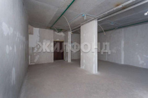 ������� ��������� ���������� ����������, �����������, ������ ��., 113, ������������� �������