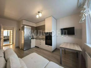 ������� 2-��������� ��������, �����������, ������������� ��., 23, ������������� �������