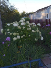 ������� ����, ������� ��������� �., �������� ��., 12, ��������� �������