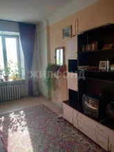 ������� �������, �����������, ������������ ��., 81, ������������� �������