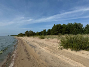 ������� ���������� �������, ��������� �., ��������� �������