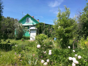 ������� ����, ���������, ���������� �., ���������� �������