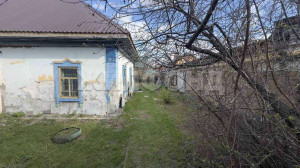 ������� ����, ������, ������� ��, ������������� �������