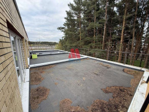 ������� 1-��������� ��������, ������� ��� �., ����������� ��., �.12 �.1, ����������� �������