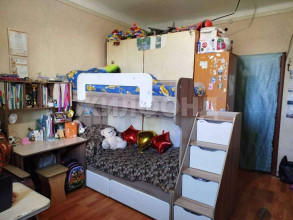 ������� �������, �����������, ������������ ��., 81, ������������� �������