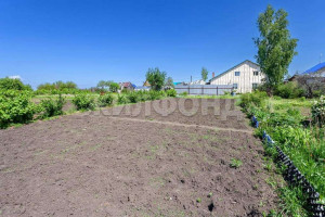 ������� ����, ������, 50-� ��, ������������� �������