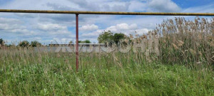 ������� ����, �.�������������, ��������� ��, �������������� ����