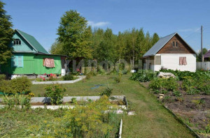 ������� ����, ������� �., ������������� �������