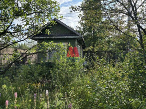 ������� ���������� �������, ���������, �������������-3 ������� ������������, ����������� �������