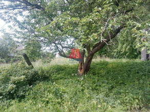 ������� ���������� �������, ��������� �., ���������� �������