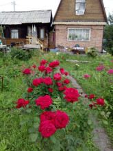 ������� ����, �����������, ������������� �������