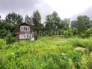 ������� ����, �����������, ������������� �������