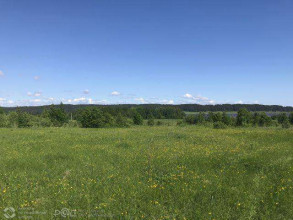 ������� ���������� �������, �������� �., �������� ����