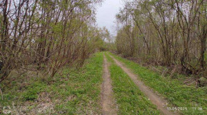 ������� ���������� �������, ������, ����� ���������� ���, ���������� �������