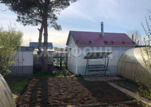 ������� ����, �����, ������������ ���������� ���, ������� �������