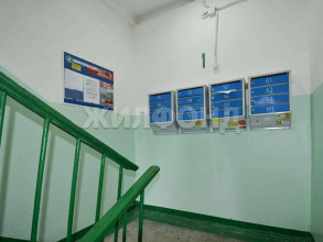 ������� 2-��������� ��������, �����������, ������������ ��., 24, ������������� �������