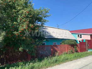 ������� ����, �����������, 1-� ���������� ���., ������������� �������