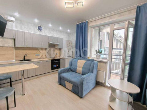 ������� -��������� ��������, �����������, ������ ��., 252, ������������� �������