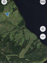 ������� ���������� �������, �������� �., �������� ����