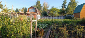 ������� ����, ������������� �������, ������� ��, ������������� �������