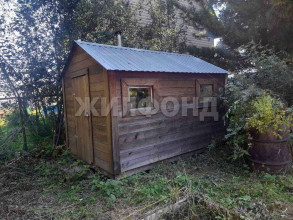 ������� ����, ������� �����-� ������������ �������, ������������� �������