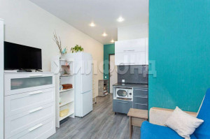 ������� -��������� ��������, �����������, ������� ����� ��., 25, ������������� �������