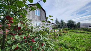 ������� ����, �����������, ������������� �������