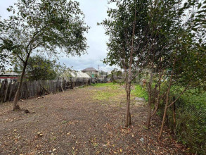 ������� ����, �����������, ������������� ��., ������������� �������