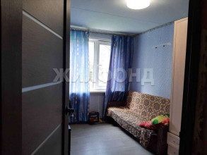 ������� �������, �.������������, ���������� ����������, 17, ������������� �������