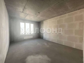 ������� �������� � �����������, �����������, ��������� ��., 41, ������������� �������