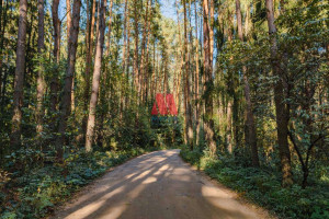 ������� ����, � �����������, ��������� ������� ������������, ����������� �������