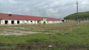 ������� ��������� ���������� ����������, �.��������, ��������� ��, 1�, ���������� ����