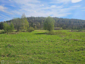 ������� ���������� �������, � ����, ����������� ��, ���������� ������������