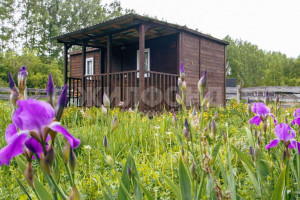 ������� ����, ������������� �������, ������� ��, ������������� �������