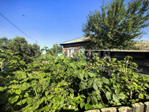 ������� ����, � ����-������, ������� ��, ���������� �������