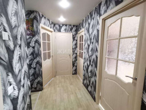 ������� 3-��������� ��������, �����������, ����������� ��., 79, ������������� �������