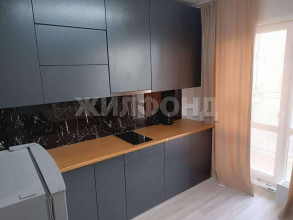 ������� 1-��������� ��������, �����������, ����� ����� ��., 17, ������������� �������