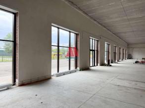 ������ ��������� ���������� ����������, ���������, ������� ��������, �.��81, ����������� �������