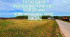 Продажа земельного участка, д Дубечино, Гринвуд территория тсн, Московская область