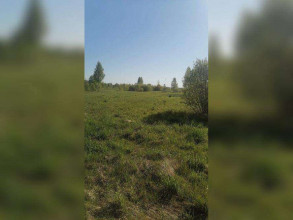 ������� ���������� �������, �������� �., ���������� �������