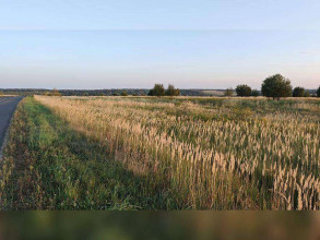 ������� ���������� �������, ���������� ����� �.�., ���������� �������