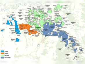 ������� ���������� �������, ���������� �., �������� �������