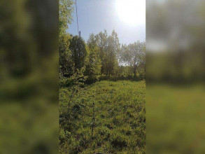 ������� ���������� ������� ��� ������������ ���������, �������� �., ���������� �������