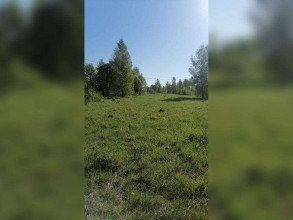 ������� ���������� ������� ��� ������������ ���������, �������� �., ���������� �������