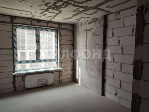 ������� 1-��������� ��������, ���������, ����������� ��., 41, ������������� ����